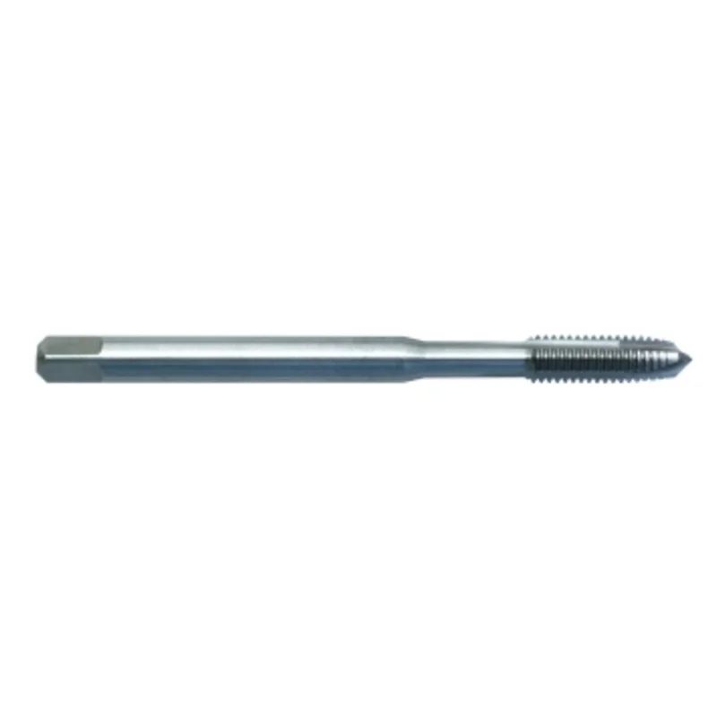 shop.doenges-rs2-440034
